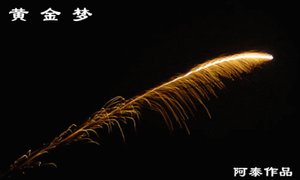 黃金夢