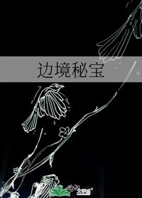 边境秘宝